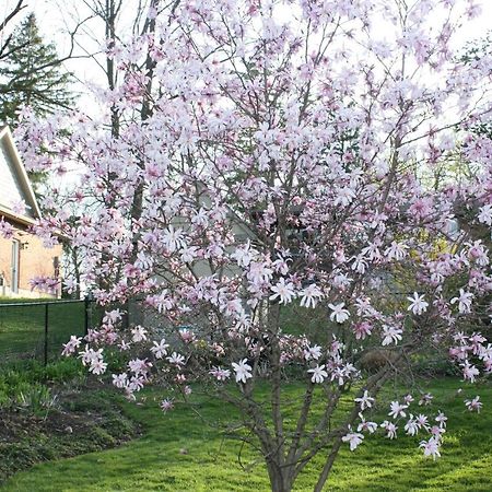 Carrousel Bed & Breakfast Cayuga ภายนอก รูปภาพ