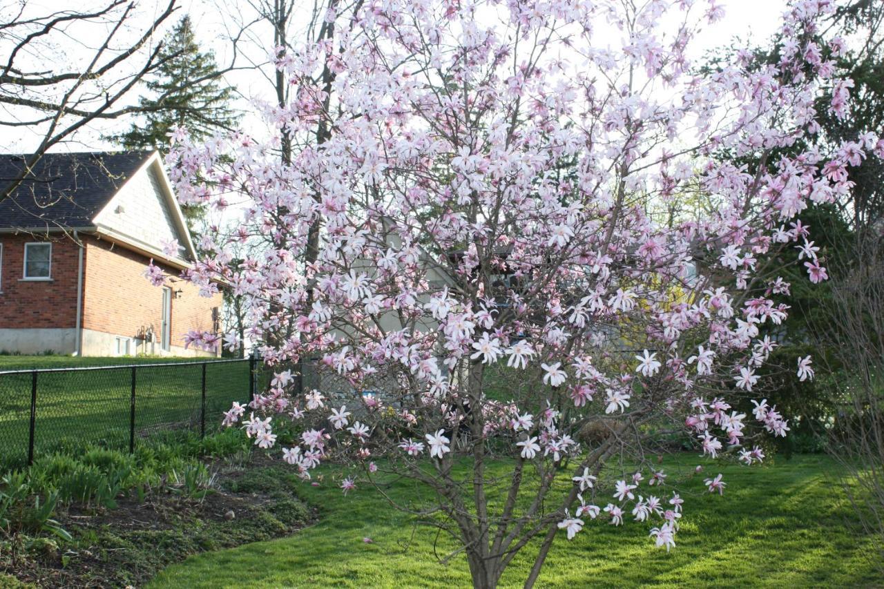 Carrousel Bed & Breakfast Cayuga ภายนอก รูปภาพ