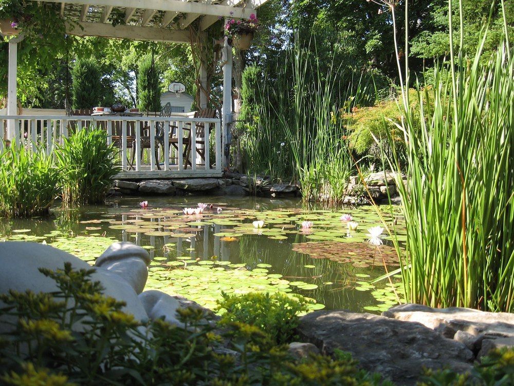 Carrousel Bed & Breakfast Cayuga ภายนอก รูปภาพ
