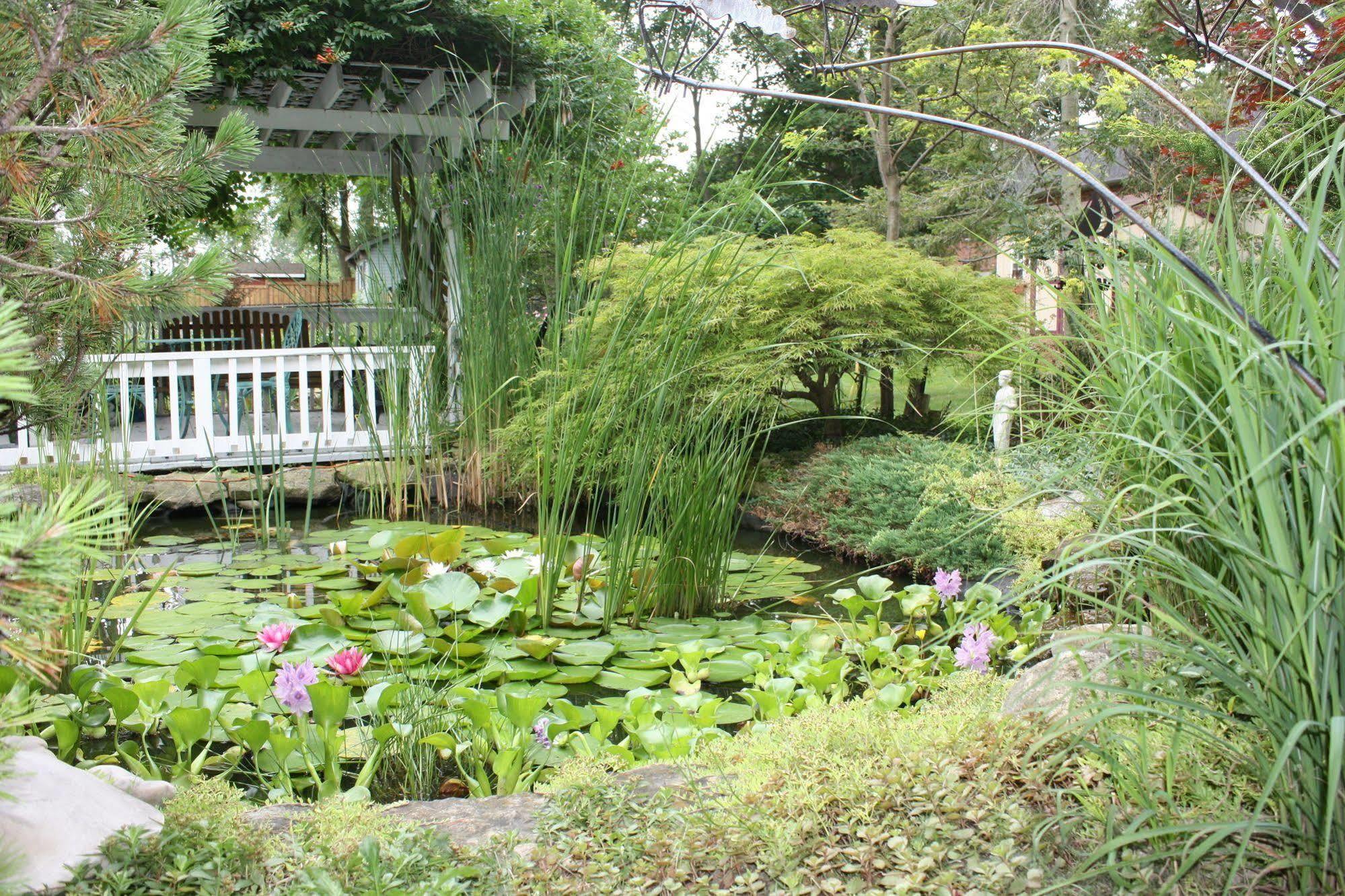 Carrousel Bed & Breakfast Cayuga ภายนอก รูปภาพ
